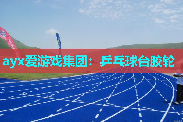 ayx爱游戏集团：乒乓球台胶轮