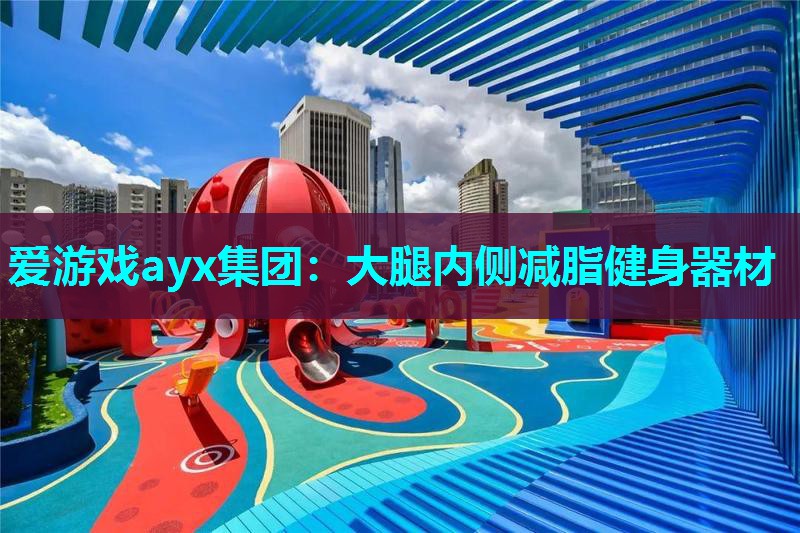 爱游戏ayx集团：大腿内侧减脂健身器材