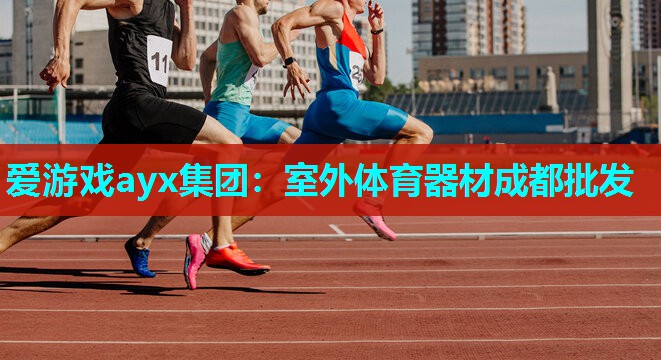 爱游戏ayx集团：室外体育器材成都批发