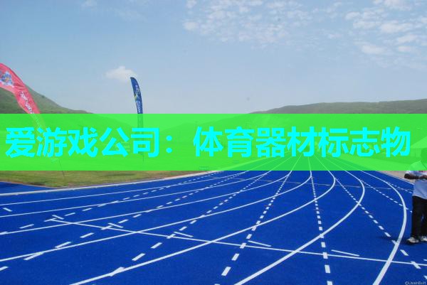 爱游戏公司：体育器材标志物
