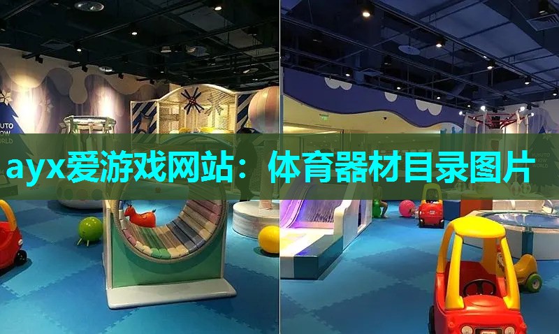 ayx爱游戏网站：体育器材目录图片