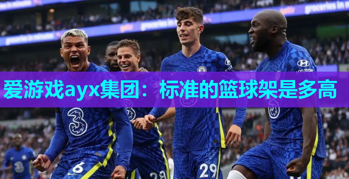 爱游戏ayx集团：标准的篮球架是多高