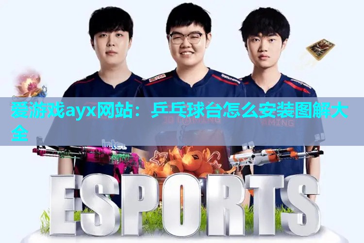 爱游戏ayx网站：乒乓球台怎么安装图解大全