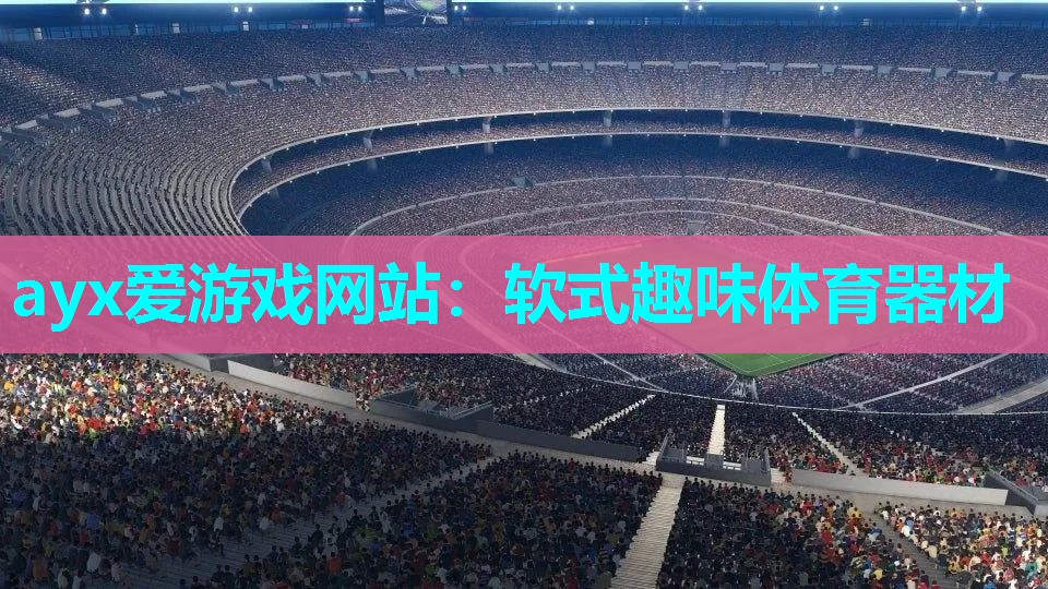 ayx爱游戏网站：软式趣味体育器材
