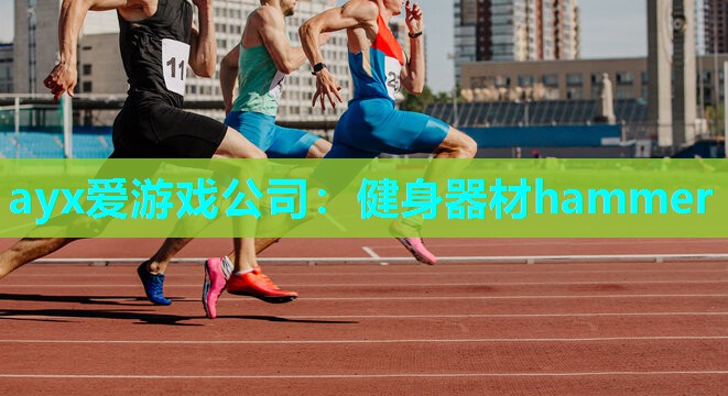 ayx爱游戏公司：健身器材hammer