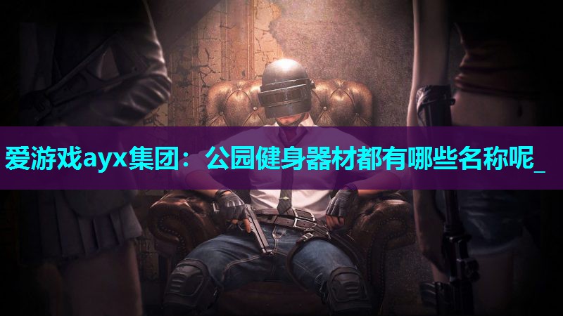 爱游戏ayx集团：公园健身器材都有哪些名称呢_