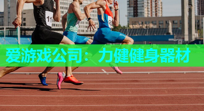 爱游戏公司：力健健身器材