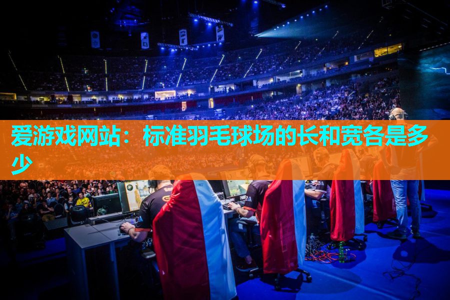 爱游戏网站：标准羽毛球场的长和宽各是多少