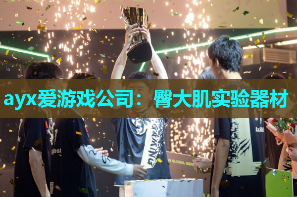 臀大肌实验器材