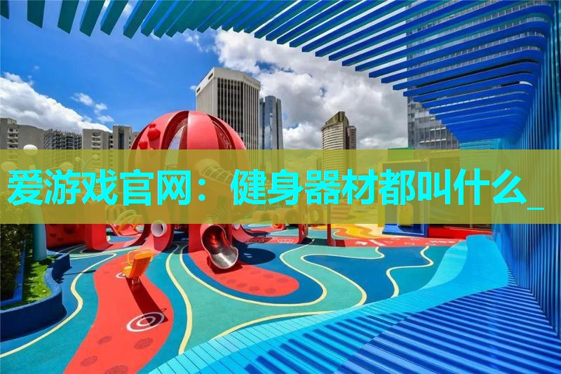 健身器材都叫什么_