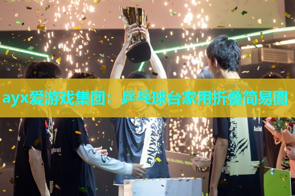 乒乓球台家用折叠简易图