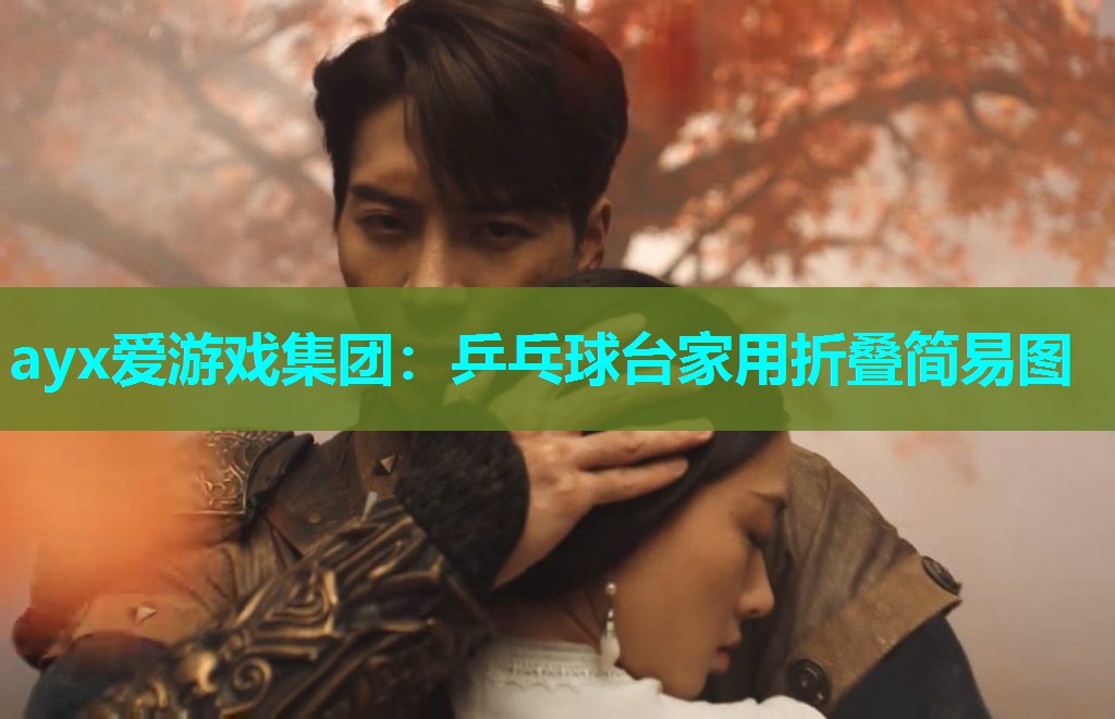 乒乓球台家用折叠简易图