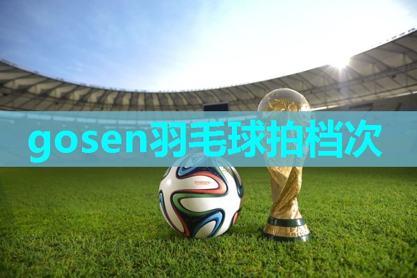 gosen羽毛球拍档次