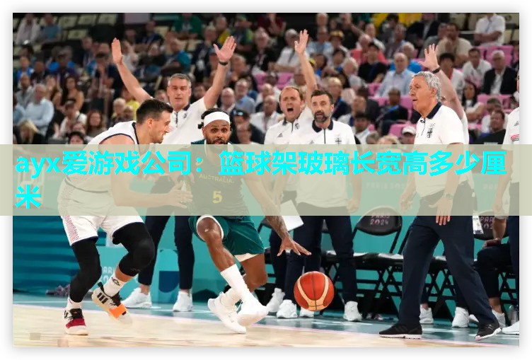 篮球架玻璃长宽高多少厘米