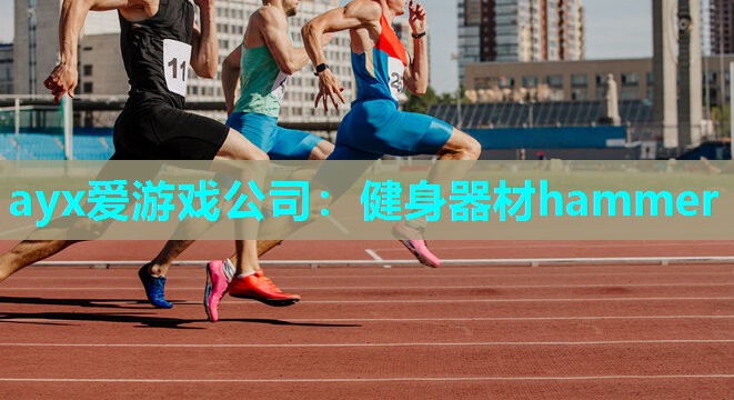 健身器材hammer