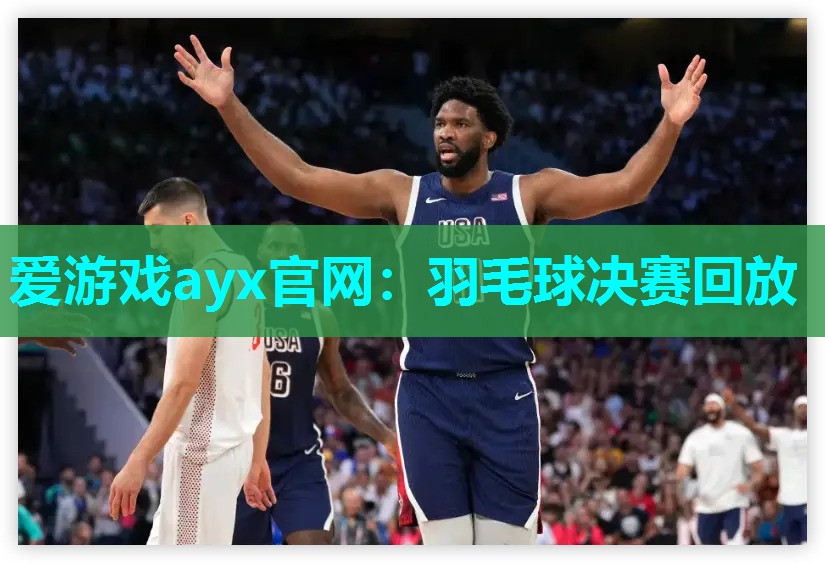 羽毛球决赛回放
