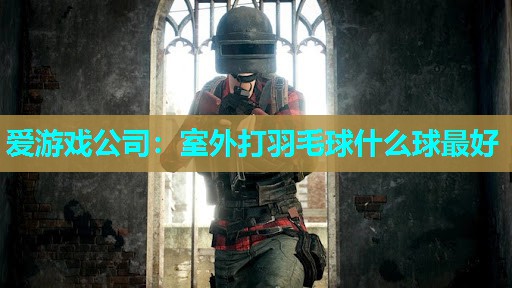 室外打羽毛球什么球最好