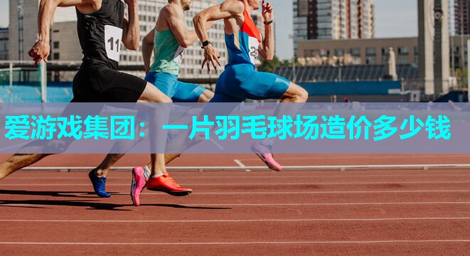 一片羽毛球场造价多少钱