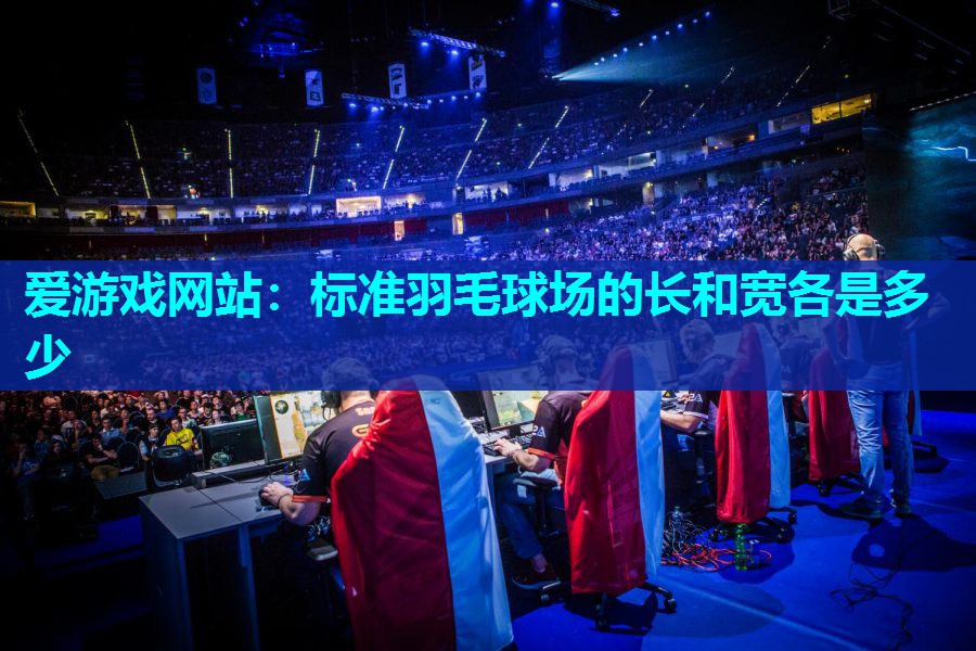 标准羽毛球场的长和宽各是多少