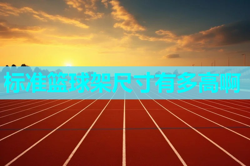 标准篮球架尺寸有多高啊