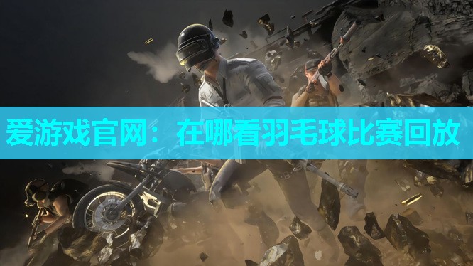 在哪看羽毛球比赛回放