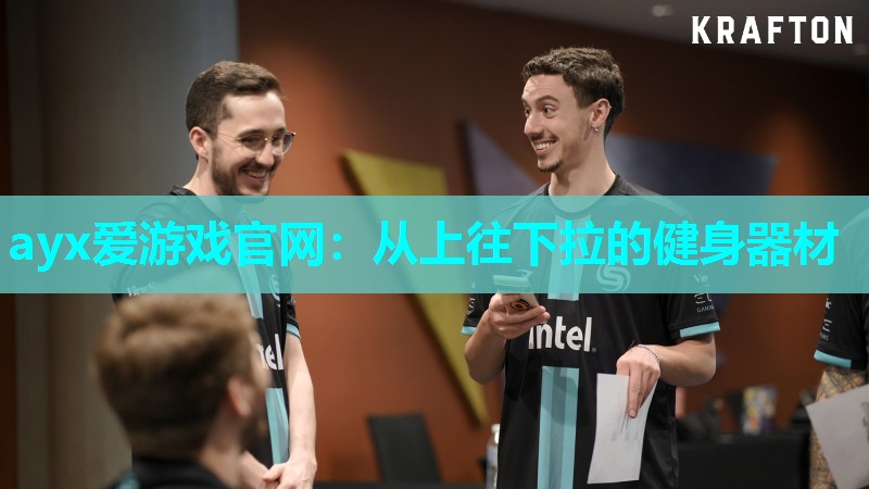 从上往下拉的健身器材