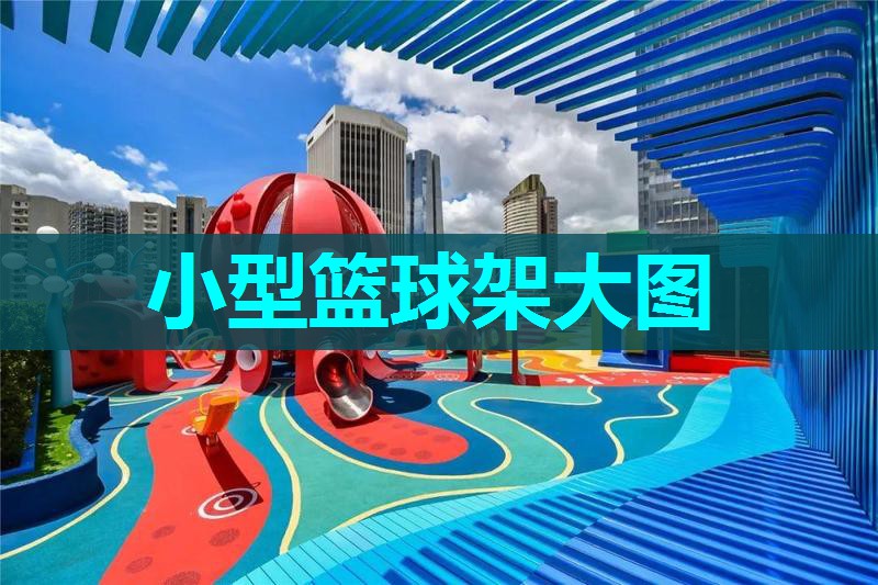 小型篮球架大图