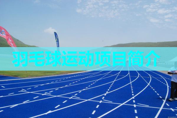 羽毛球运动项目简介