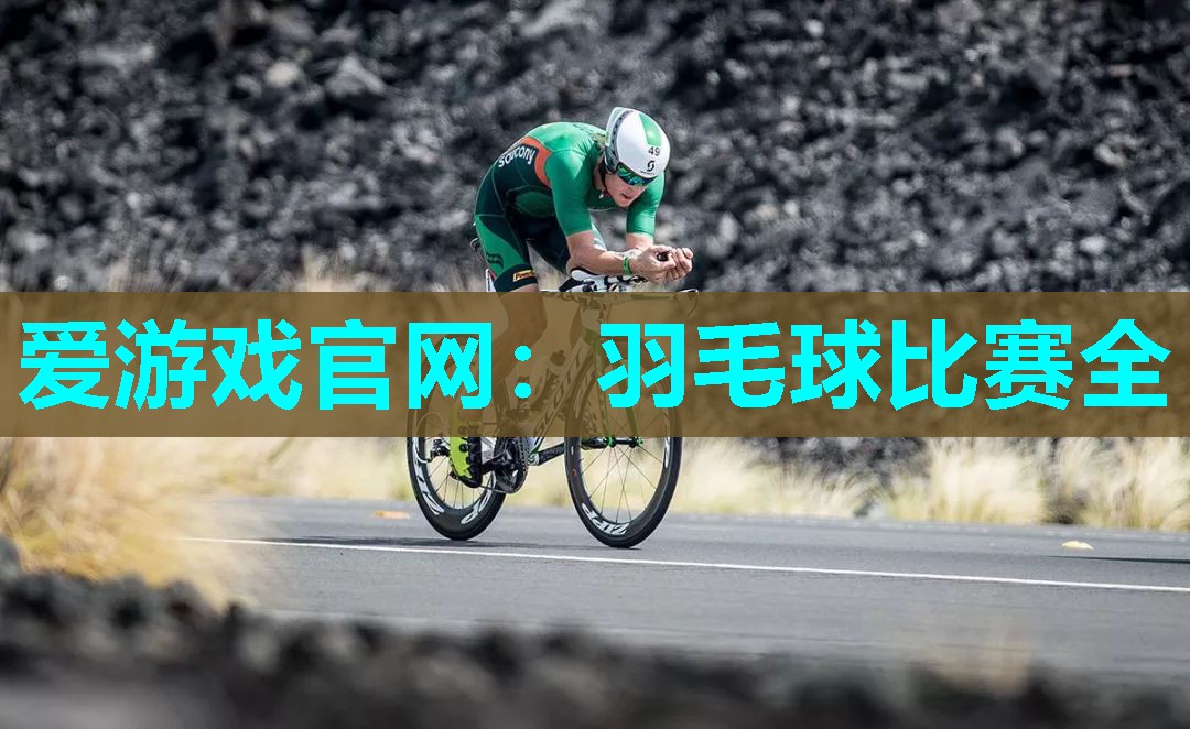 羽毛球比赛全