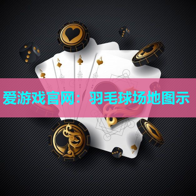 羽毛球场地图示