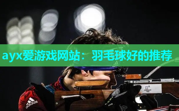 羽毛球好的推荐